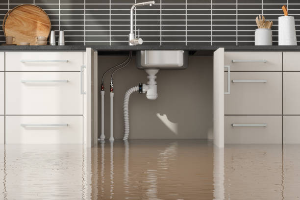 Best Flood damage cleanup  in Woodburn, IN